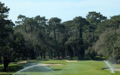 nouveau système d'arrosage